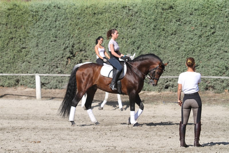 La Amazona Internacional Teresa Jauquicoa ha impartido un Clinic en Navarra